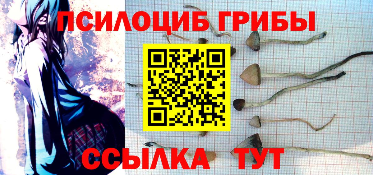 Псилоцибиновые грибы Magic Shrooms  Вход с VPN  Орёл  как найти наркотики  Псилоцибиновые грибы ЛСД 